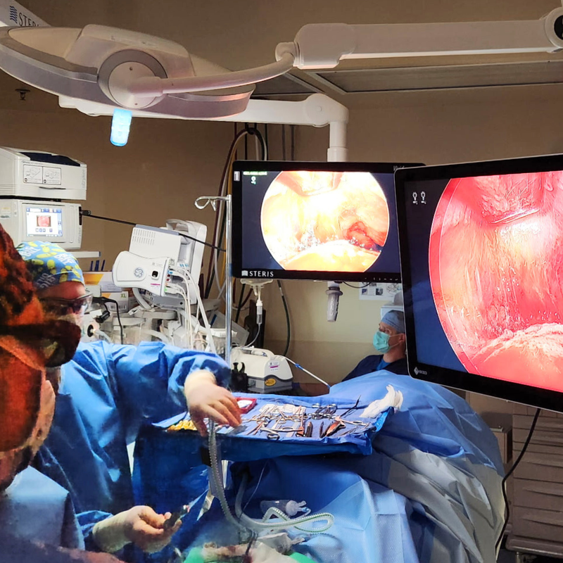 Advanced Facial Rejuvenation with Dr. Renato Saltz