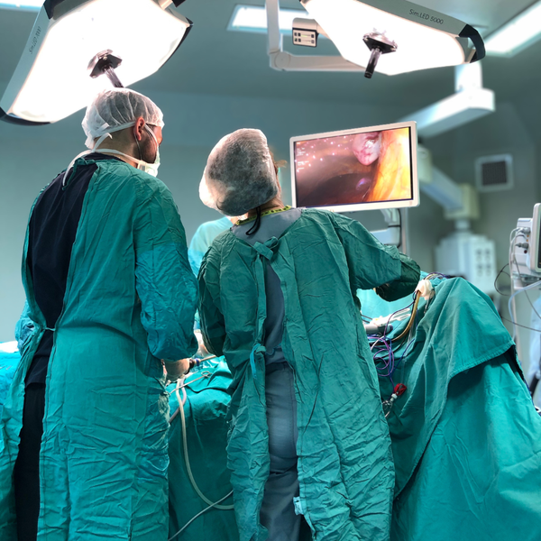 AED EndoPro® 3D: Transforming Surgical Visualization Across Specialties