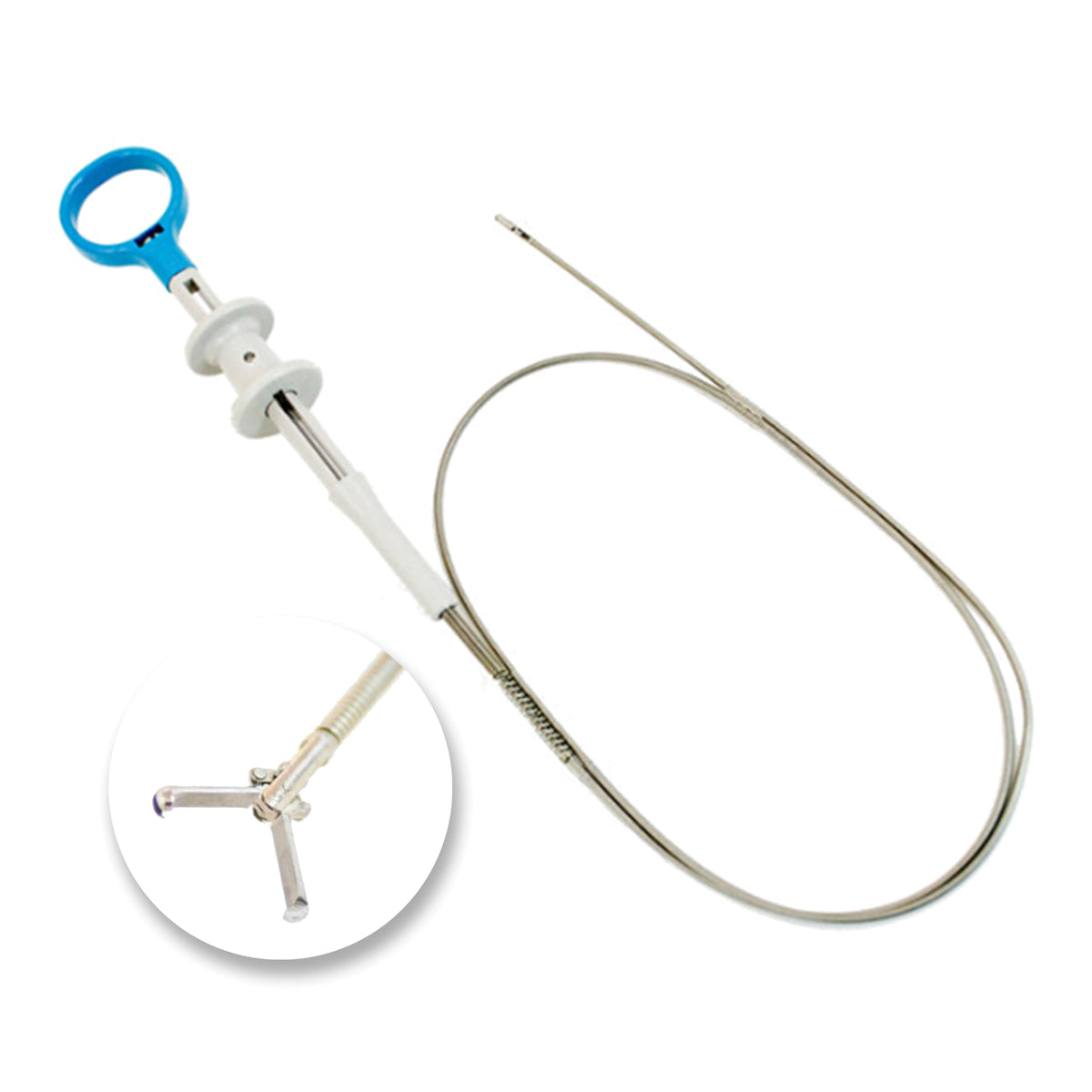 Rodent Extraction Instrument Storz 27022P Semi-Rigid Rat Tooth Grasper | Endoscopy Superstore